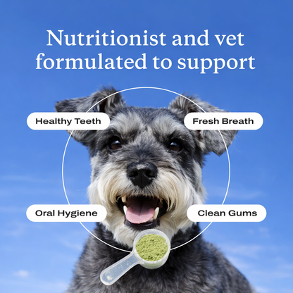 Premium Dog Dental Powder